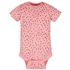 Bodys manga corta Bear - pack x5 Bodys manga corta Bear - pack x5
