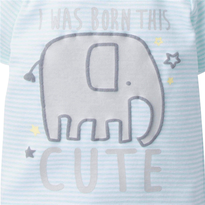 Conjunto Elephant Take-Me-Home Setx4