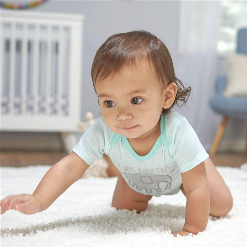 Conjunto Elephant Take-Me-Home Setx4