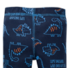 Conjunto Dinosaur Conjunto Dinosaur