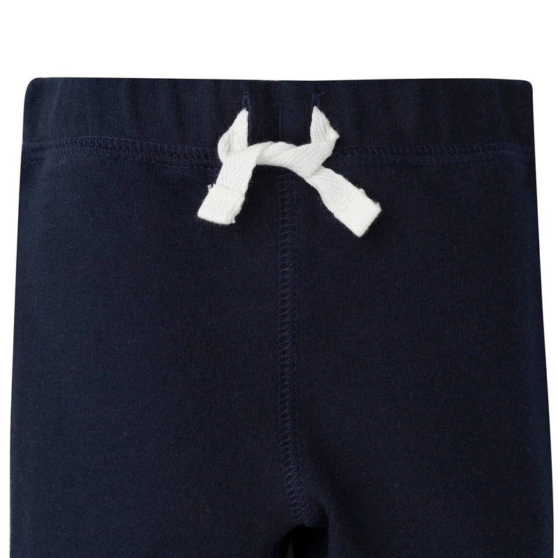 Conjunto de dinosaurios